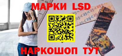 PSILOCYBIN Малгобек