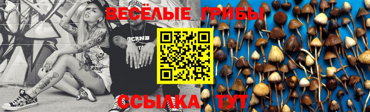 Псилоцибиновые грибы Cubensis  Вход с VPN  Псилоцибиновые грибы Psilocybe  Балтийск 