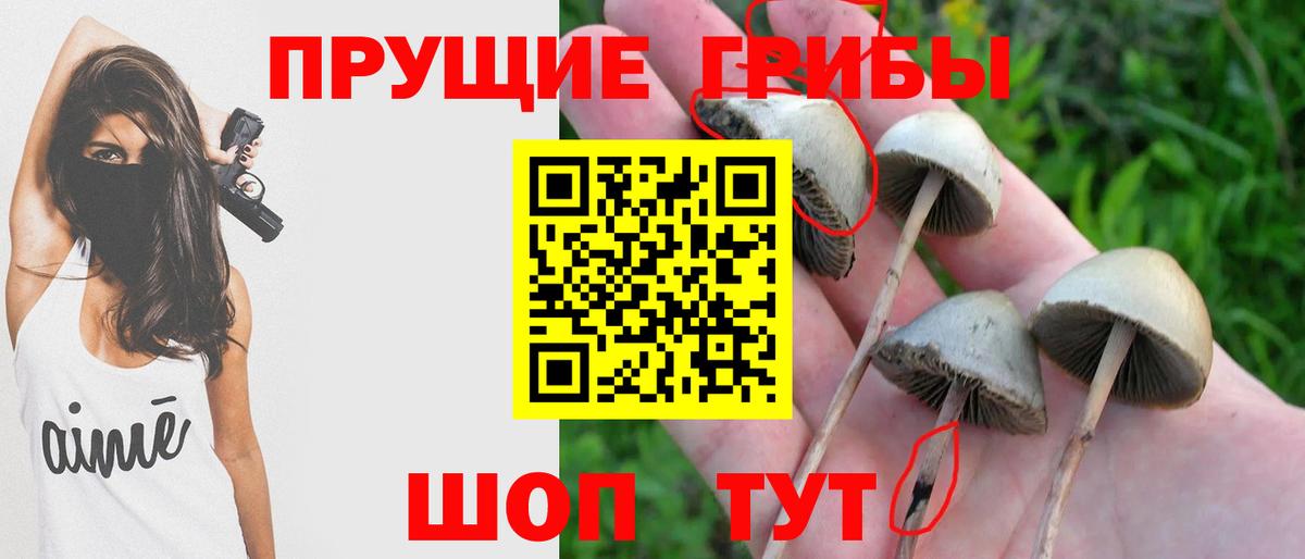 Псилоцибиновые грибы мухоморы Балтийск